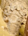 Figura sculptata Richis
